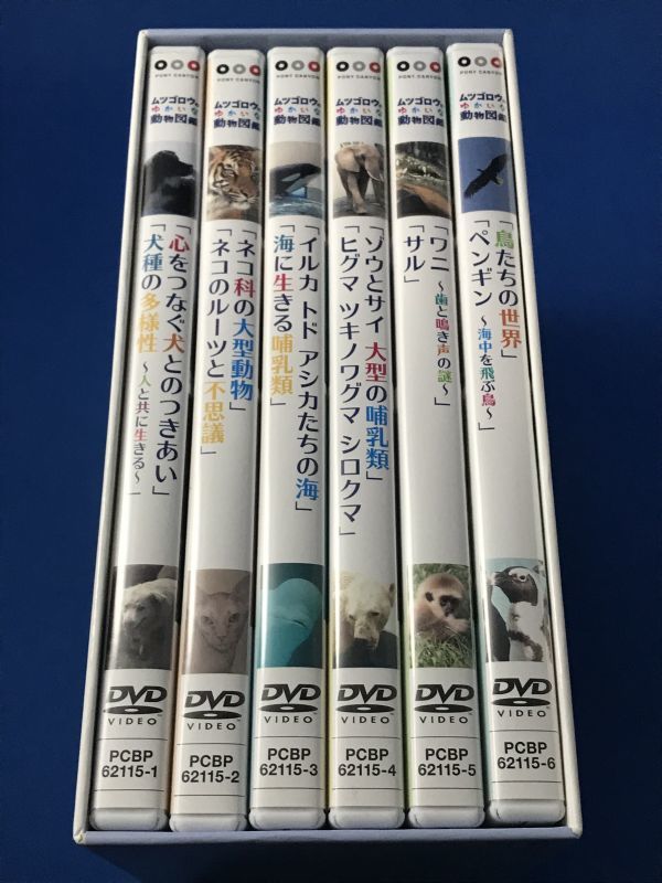 Dvd ムツゴロウのゆかいな動物図鑑 コンプリートbox 1 畑正憲 動物 売買されたオークション情報 Yahooの商品情報をアーカイブ公開 オークファン Aucfan Com