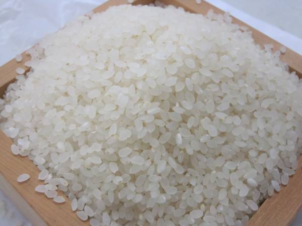 【人気SALE，正規品】 はえぬき 精米 10kg 令和元年産 山形県特産 1等米(その他)｜売買されたオークション情報、yahooの商品情報をアーカイブ公開 - オークファン その他