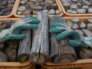 乾燥薪 3年もの コナラ 楢 30cm 100kg 発送 長野 焚火 薪