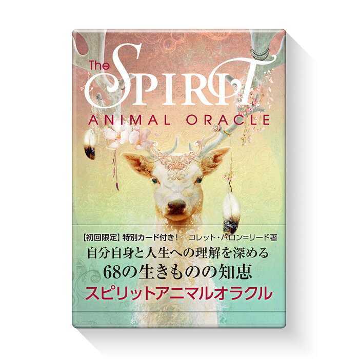 気学セミナーパート2 DVD 清水義久先生 講義録pdf有り 超豪華オマケ付 