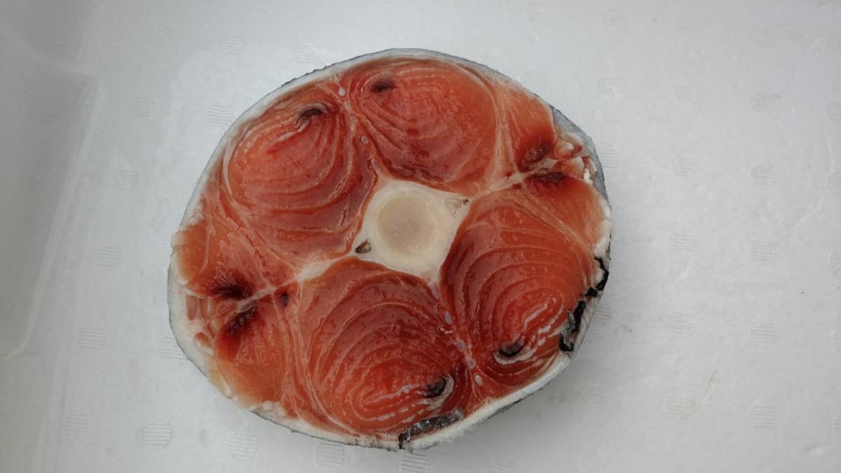 まぐろ 鮪 テール 鮪尾肉 【1kg以上のBIGサイズが4個で１梱包となります】　_3