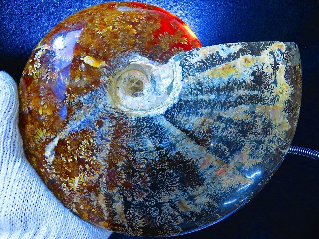 縫合線オパール ☆ 数万個の中の一個☆天然マダガスカル産 絶品