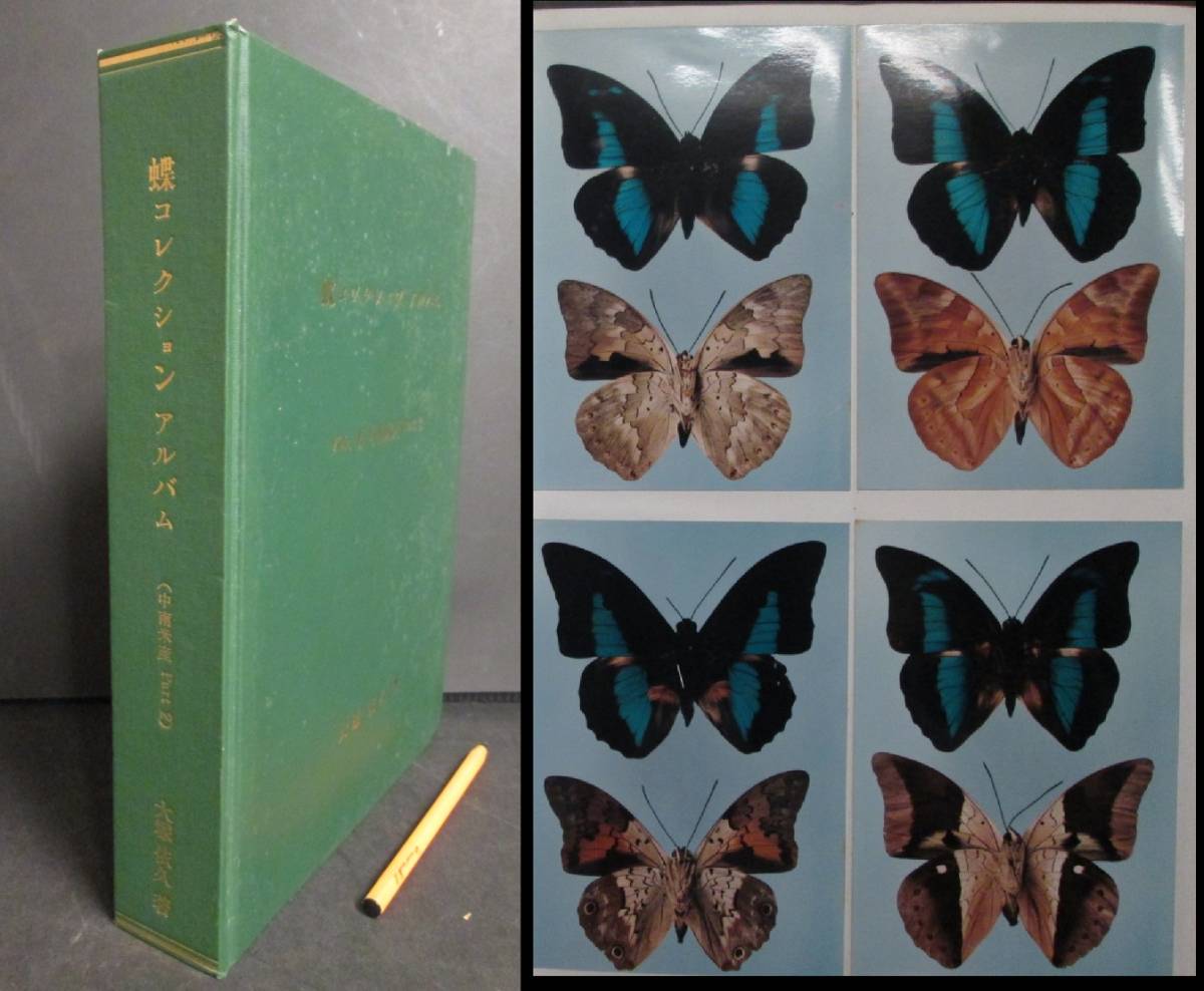 原色圖鑑世界の貝 正続 復刻版 鹿間 時夫 北隆館 本 原色圖鑑 世界の貝