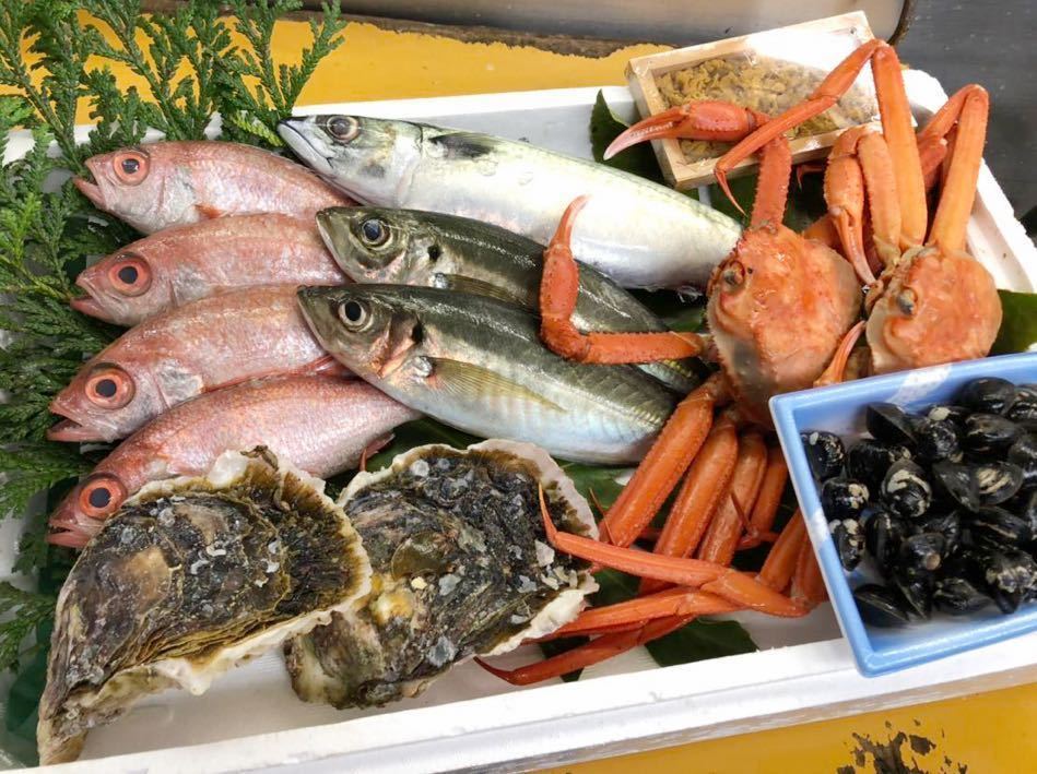 境港産朝どれお魚セット！ | 鮮魚 詰め合わせ ほっけ ほたて 送料無料