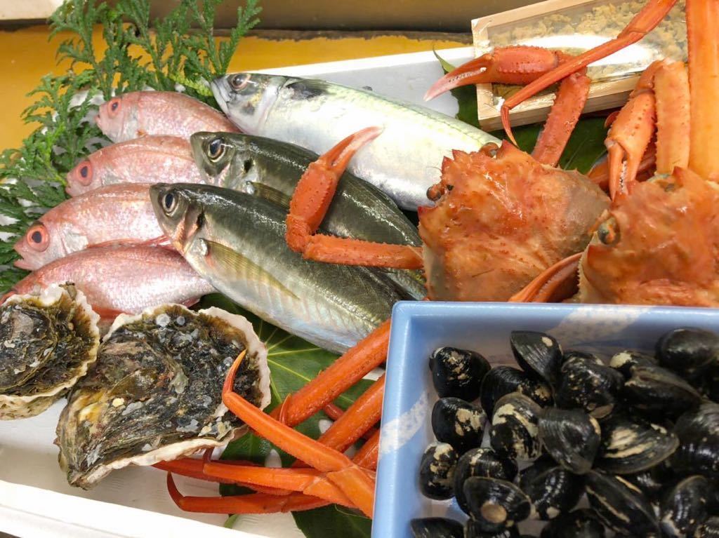 境港産朝どれお魚セット！ | 鮮魚 詰め合わせ ほっけ ほたて 送料無料