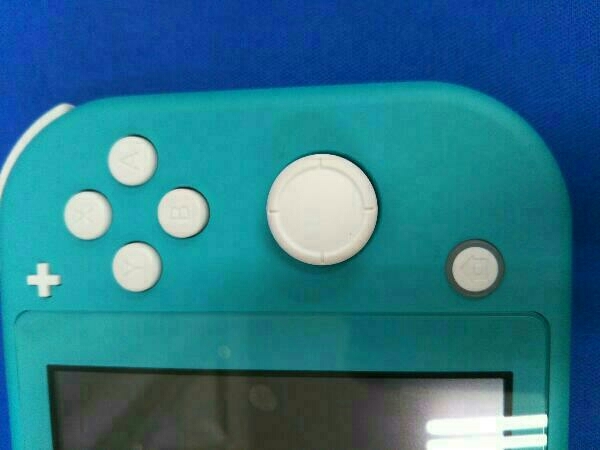 Switch Nintendo 動作確認済 Lite 付属品欠品 箱・説明書なし 本体 グレー 付属品揃ってる？Switchを売る前に確認しておきたい内容物 コーラル 携帯専用 ニンテンドー 美品 ライト 任天堂スイッチライト 中古60日保証キャンペーン中スイッチライト