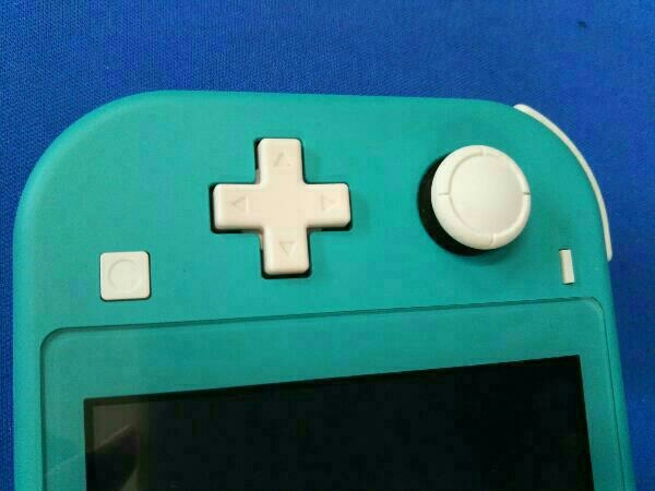 Switch Nintendo 動作確認済 Lite 付属品欠品 箱・説明書なし 本体 グレー 付属品揃ってる？Switchを売る前に確認しておきたい内容物 コーラル 携帯専用 ニンテンドー 美品 ライト 任天堂スイッチライト 中古60日保証キャンペーン中スイッチライト