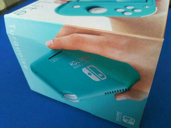 Switch Nintendo 動作確認済 Lite 付属品欠品 箱・説明書なし 本体 グレー 付属品揃ってる？Switchを売る前に確認しておきたい内容物 コーラル 携帯専用 ニンテンドー 美品 ライト 任天堂スイッチライト 中古60日保証キャンペーン中スイッチライト
