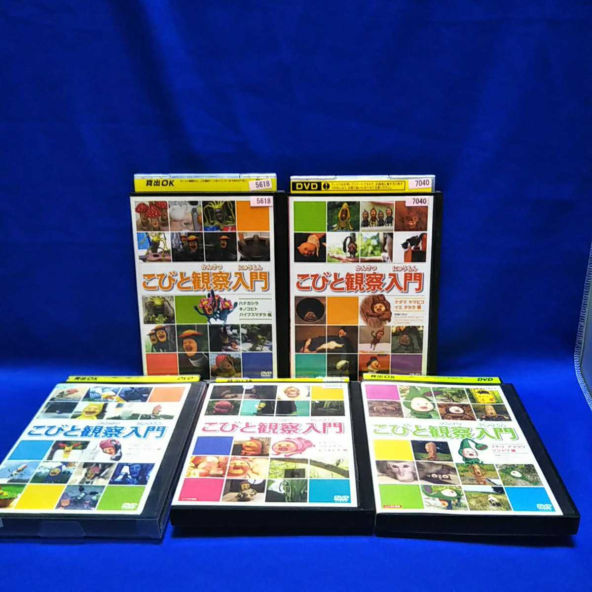 こびと観察入門 DVD レンタル落ち こびとづかん : こびと図鑑 (か