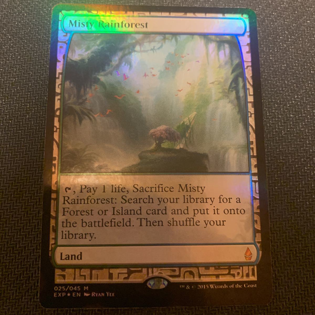 MTG 霧深い雨林 FOIL EXP トレーディングカード MTG 霧深い雨林
