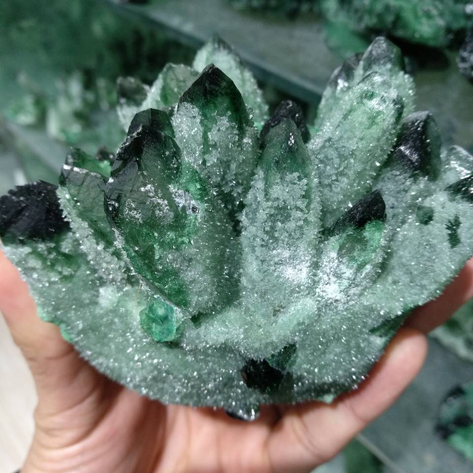 お得最安値☆☆☆☆☆☆☆７７７７７７７７７７７７７◇ナチュラル グリーン ゴースト ファントム 水晶 クラスター ヒーリング 標本