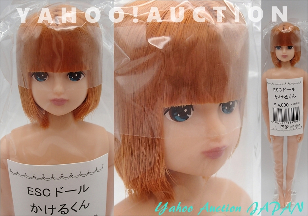 ESCドール かけるくん リカちゃんキャッスル リトルファクトリー お