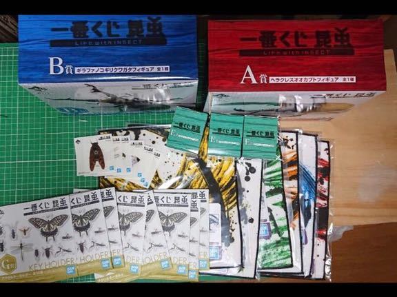 一番くじ 昆虫 LIFE with INSECT 全19種 新品 クリアステッカー付