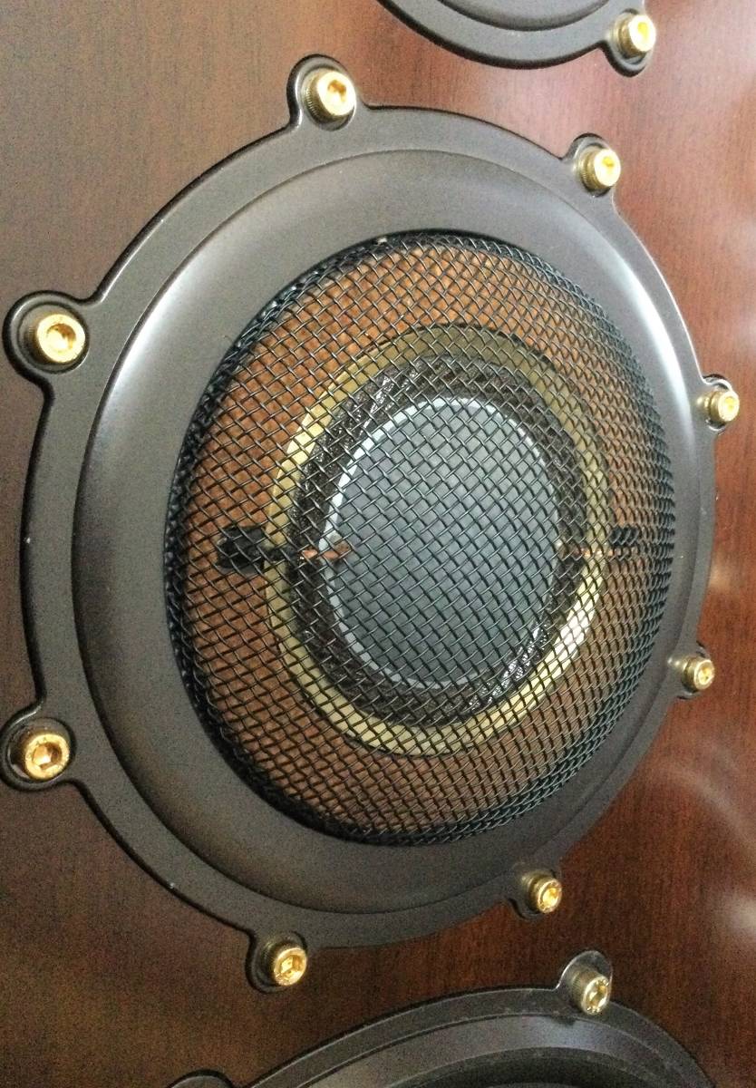 DIATONE ダイヤトーン スピーカー 1個（DS-1000ZA | DM-6017BM DS 