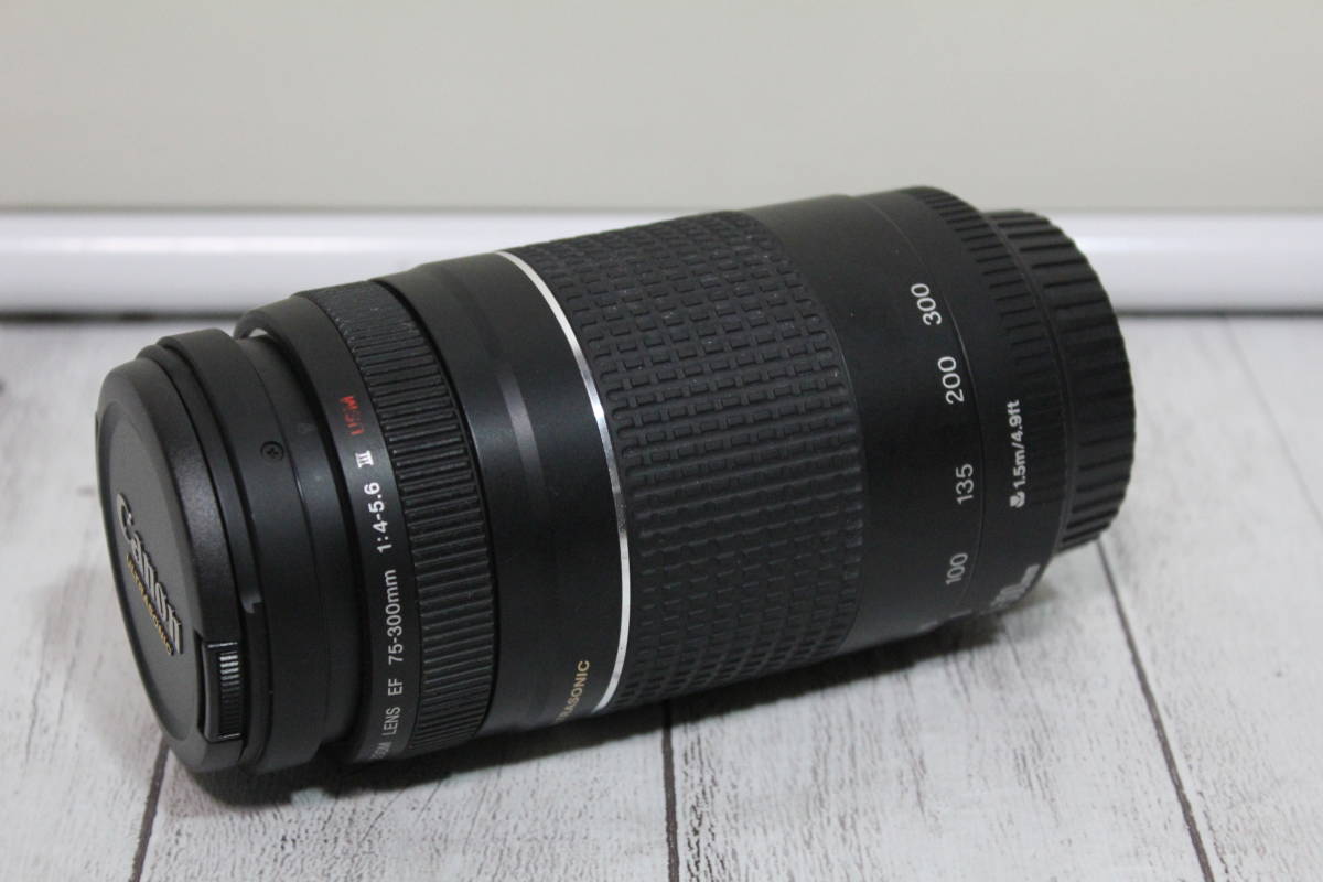 Canon ZOOM LENS EF 75-300 Ⅲ 望遠ズームレンズ キャノン 1:4-5.6 USM