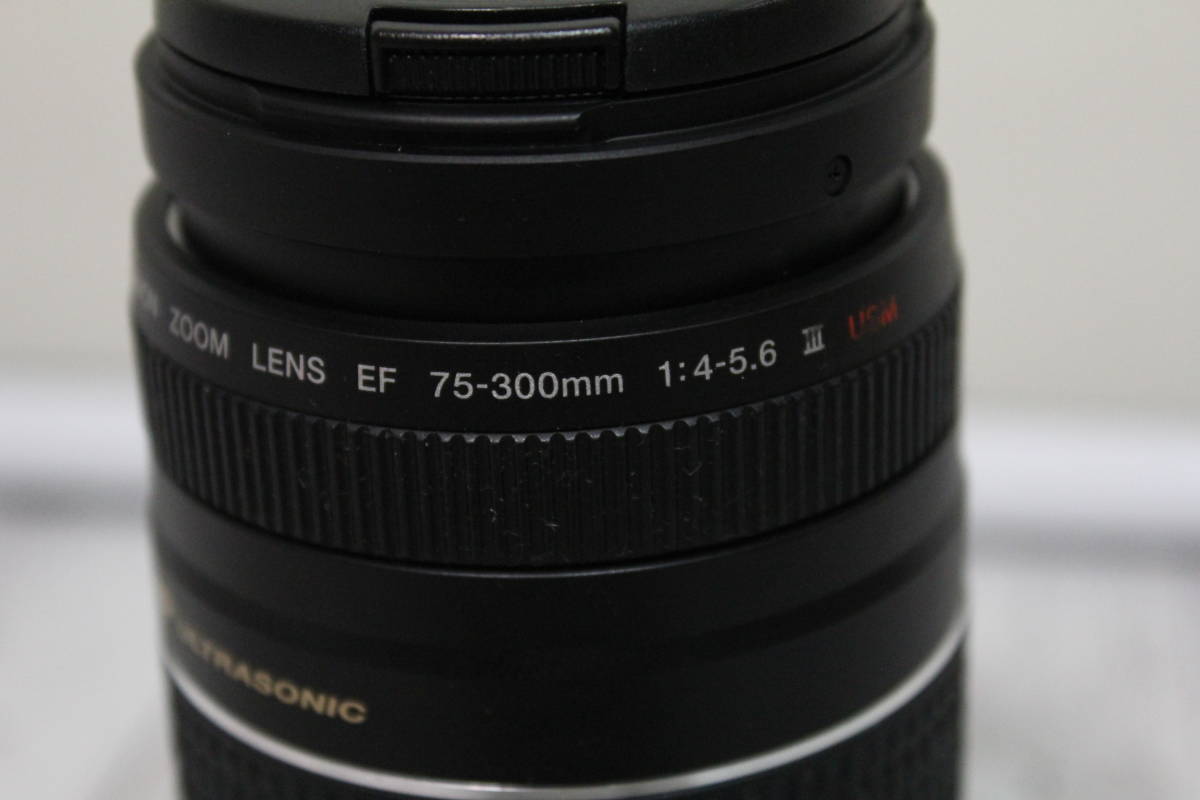 Canon ZOOM LENS EF 75-300 Ⅲ 望遠ズームレンズ キャノン 1:4-5.6 USM