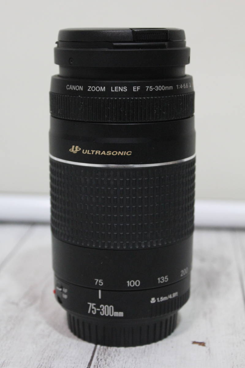 Canon ZOOM LENS EF 75-300 Ⅲ 望遠ズームレンズ キャノン 1:4-5.6 USM