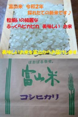 【限定セール，得価】 新米 令和２年 富山産 美味しい 減農薬 一等格 コシヒカリ 送料安 25kg 30kg a(コシヒカリ)｜売買されたオークション情報、yahooの商品情報をアーカイブ公開 - オークファン コシヒカリ