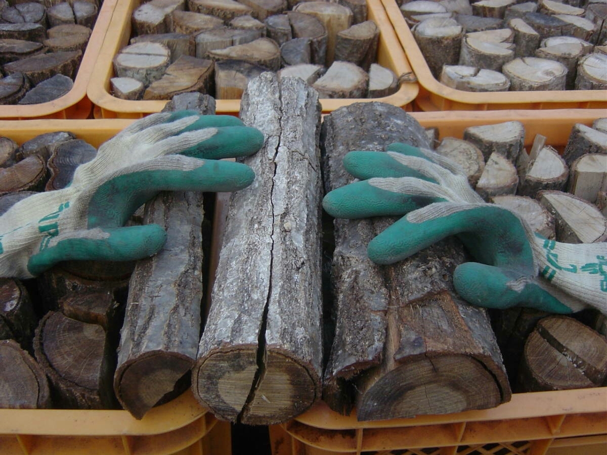  乾燥薪 3年もの コナラ 楢 30cm 100kg 発送 長野 焚火 薪(薪（まき）)｜売買されたオークション情報、yahooの商品情報をアーカイブ公開 - オークファン 薪（まき）