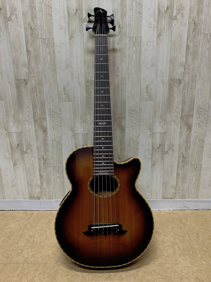AX-6 希少Athlete 6弦アコースティックベース ギグバッグ付き