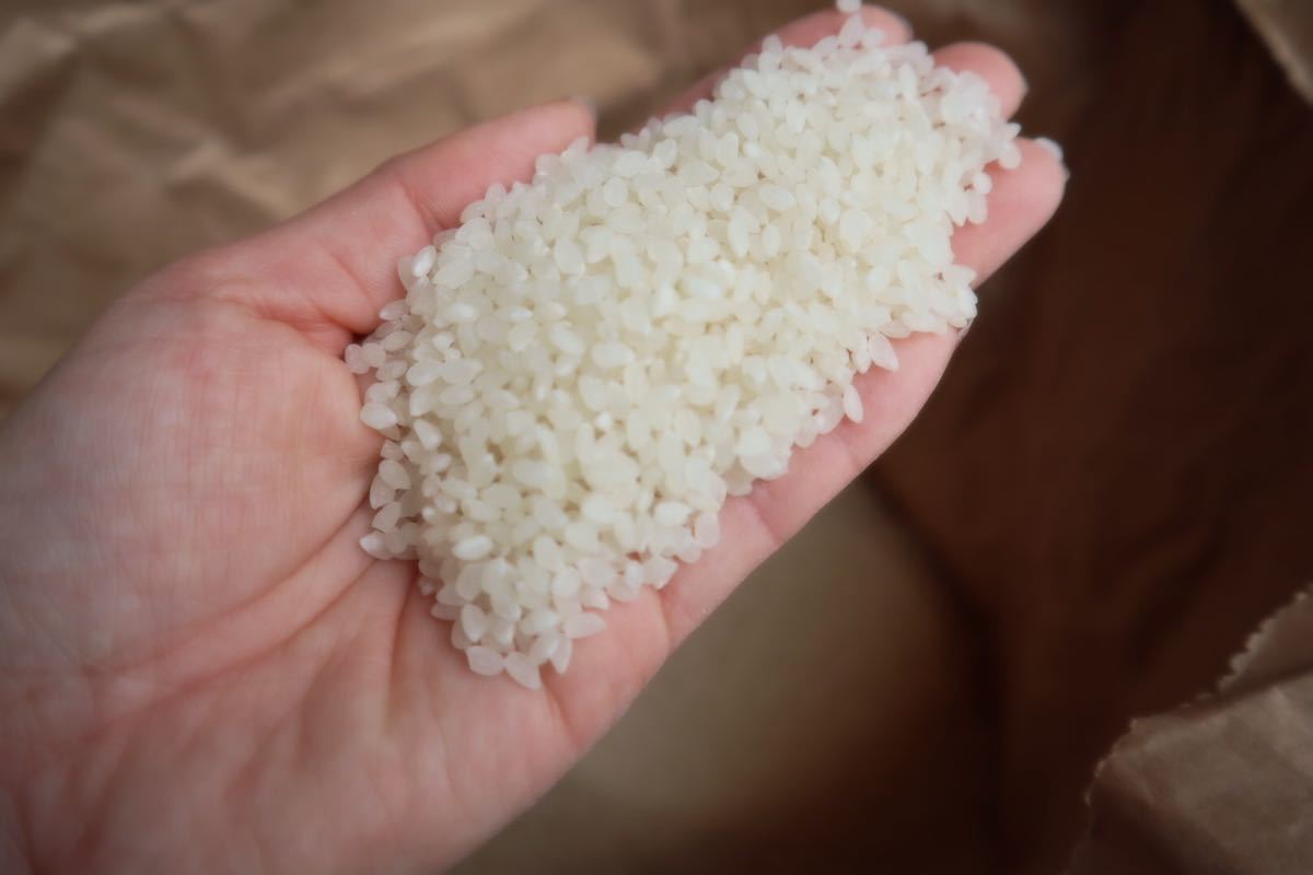 お米 彩のきずな 令和7年産 埼玉県産 : 新米 丸増玄米新米 39.9kg）の