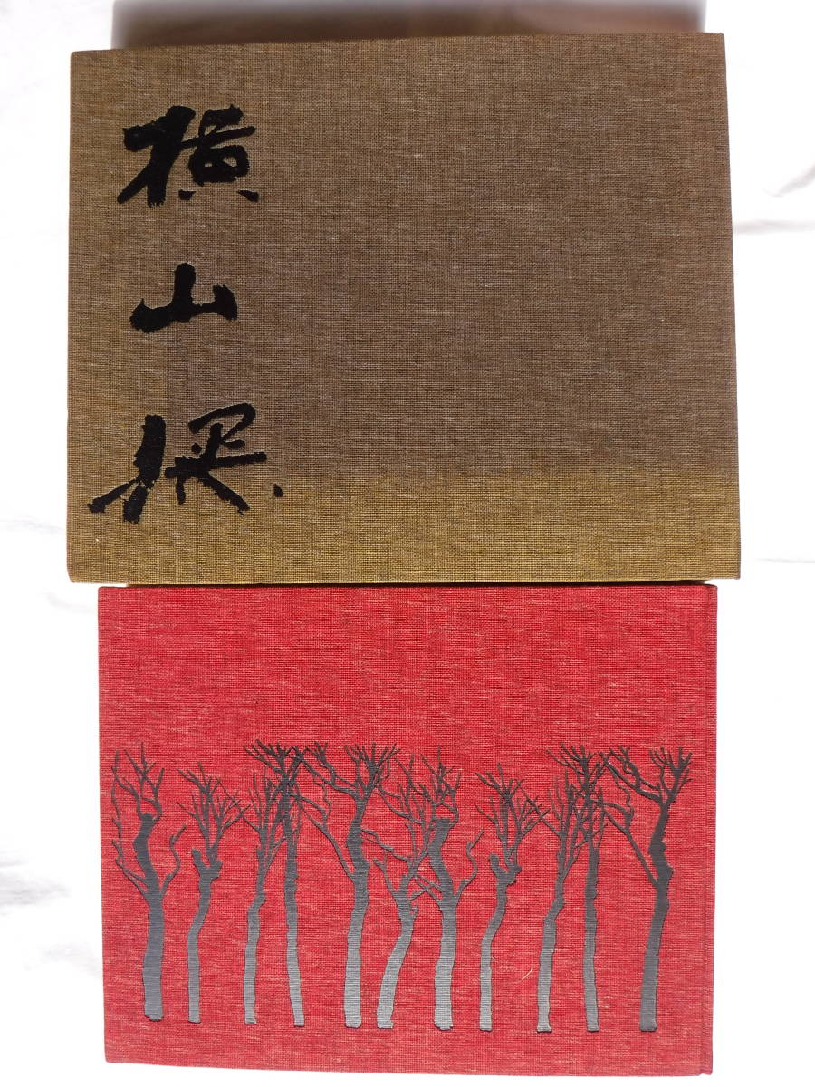 ☆合羽摺 森義利 限定 1000部 豪華 愛蔵本 - メルカリ