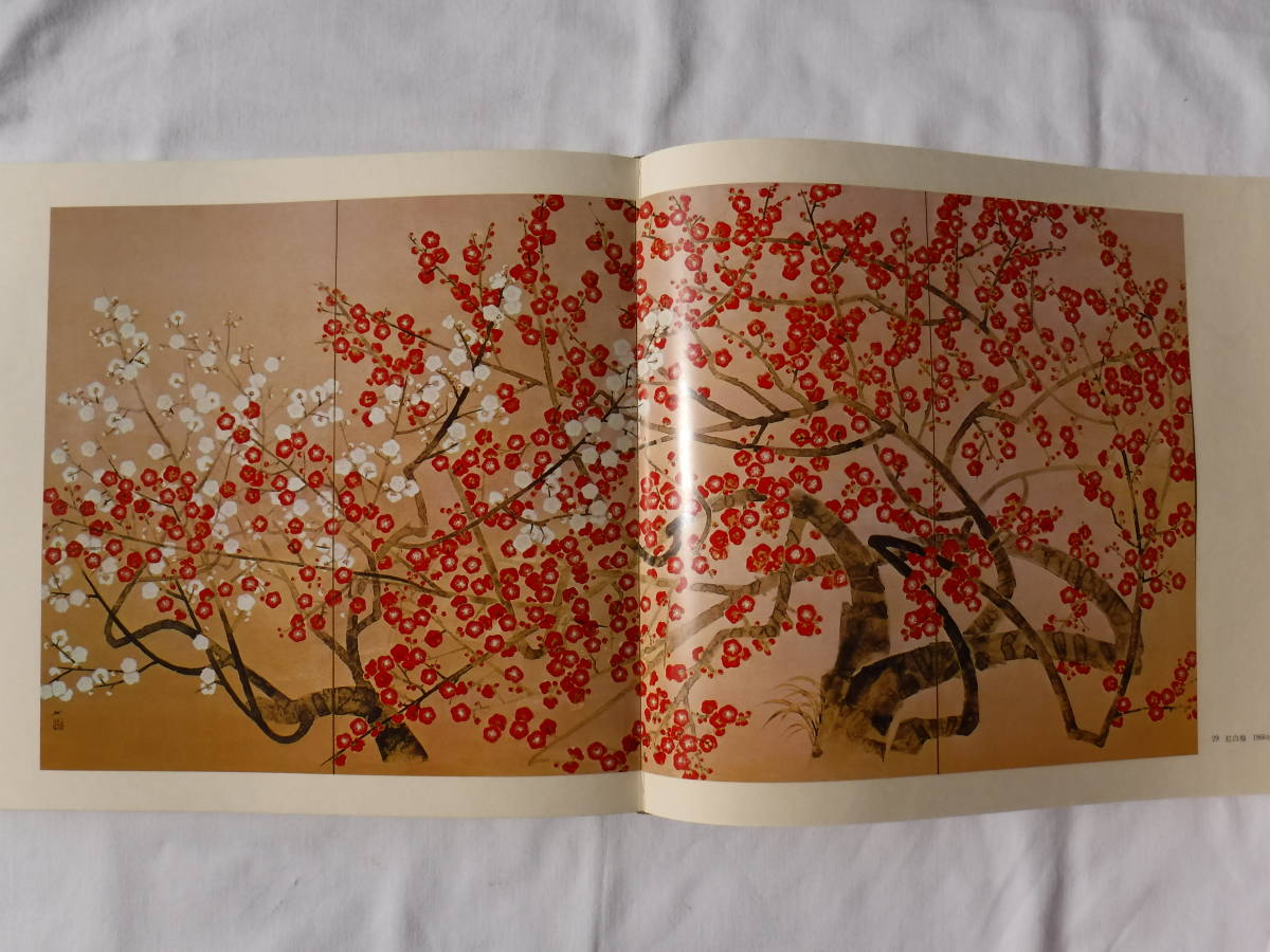 画集 横山操 集英社 限定本 昭和52年発行 - メルカリ 古本、中古本、古書籍