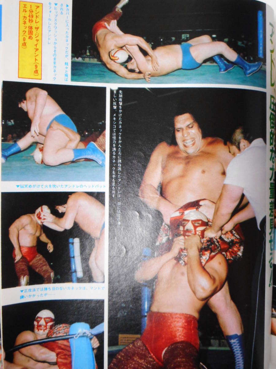 月刊プロレス緊急増刊 1983年IWGP総集号 カネックVSアンドレ・ザ