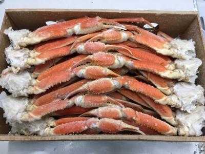 【100%新品，新作登場】 1円 ズワイガニ 冷凍ボイル 10kg L 2L B品(ズワイガニ)｜売買されたオークション情報、yahooの商品情報をアーカイブ公開 - オークファン ズワイガニ