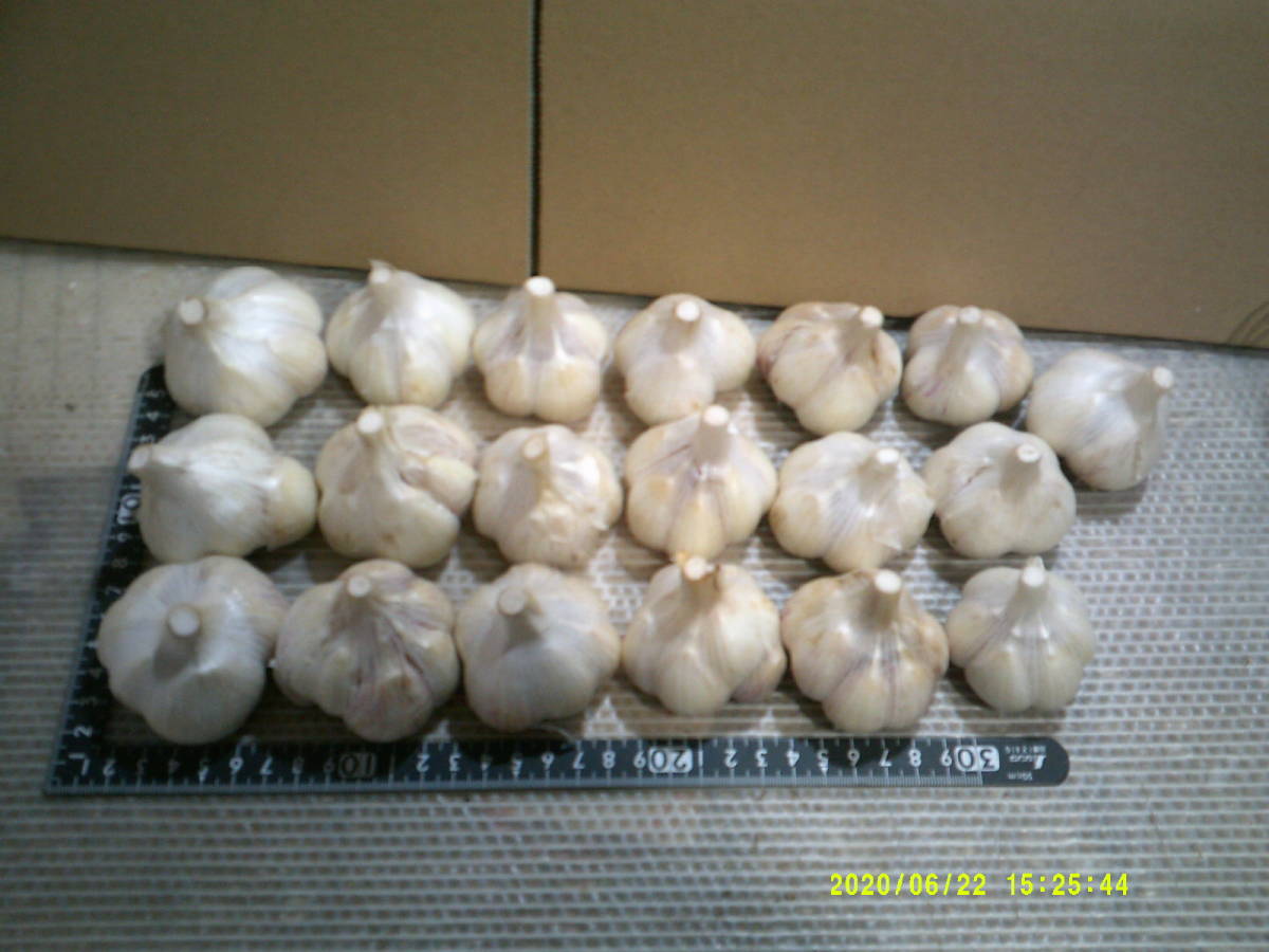 青森県▽にんにく(福地系)S▽3200円2kg▽送料無料▽5