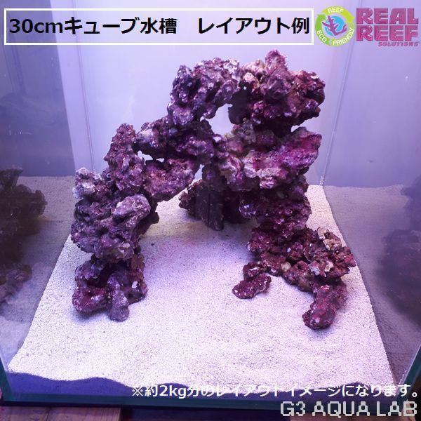 人工ライブロック Grotech｜LSS Laboratory レイアウトロック LSS