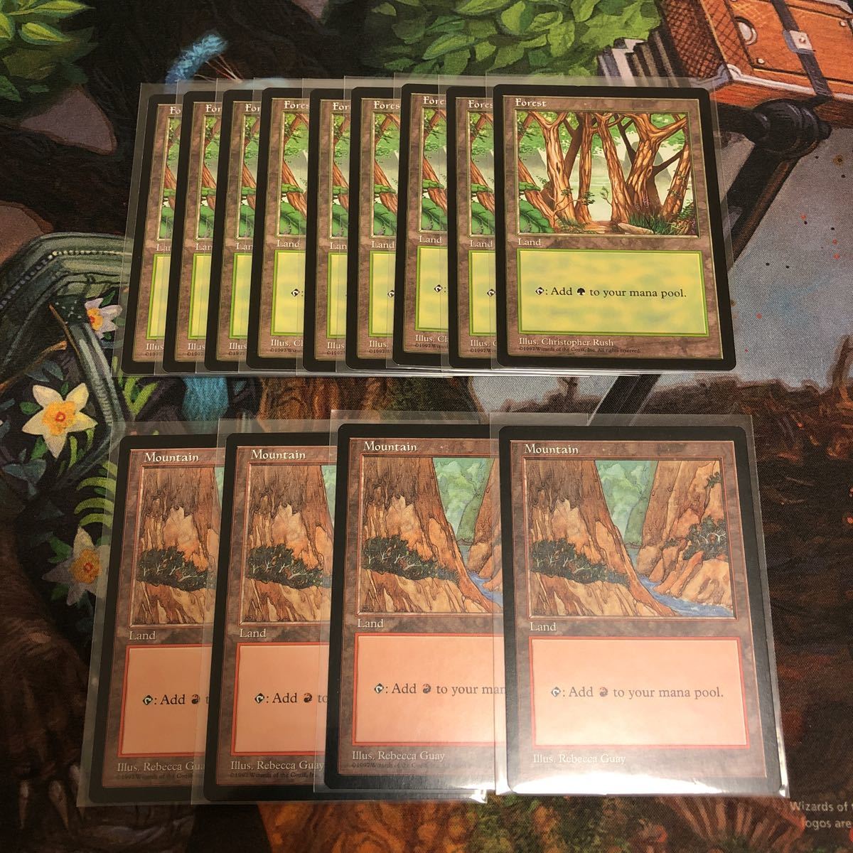 APAC Land MTG APACランド PSA9 マジックザギャザリング プレイヤーズ 