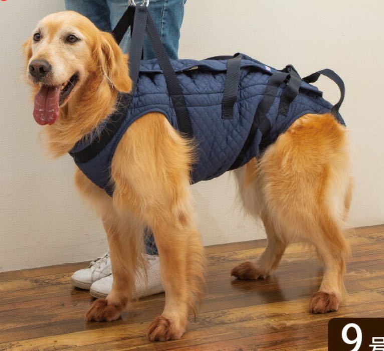 大型犬用３ｗａｙ介護ハーネス 介助 犬 売買されたオークション情報 Yahooの商品情報をアーカイブ公開 オークファン Aucfan Com