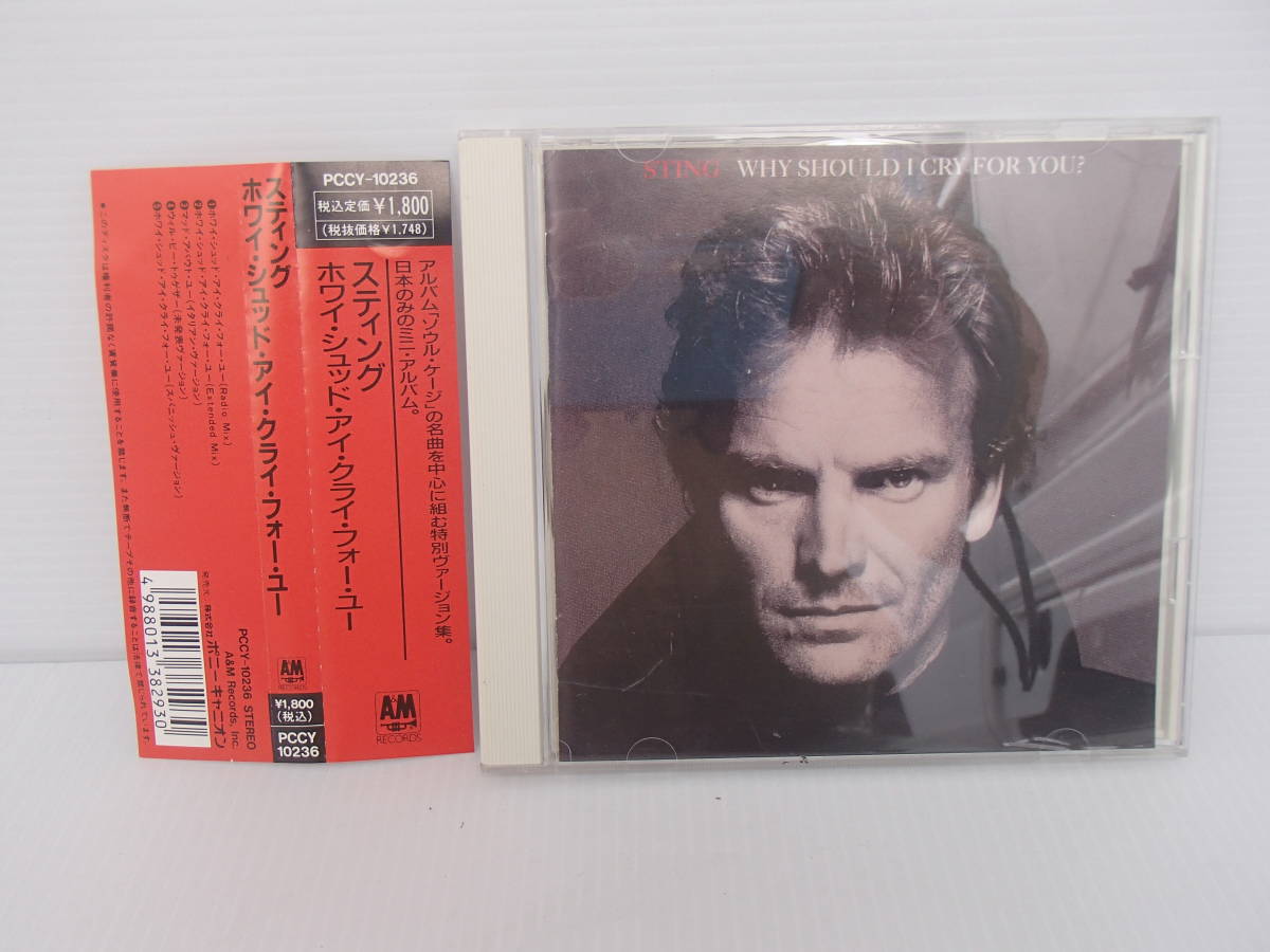 2026年最新Yahoo!オークション -スティングcdの中古品・新品