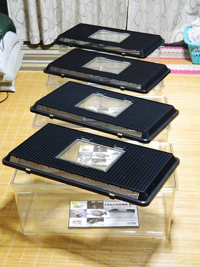 飼育ケース | 飼育容器 鈴木製作所 特大の通販 価格.com - 飼育ケース