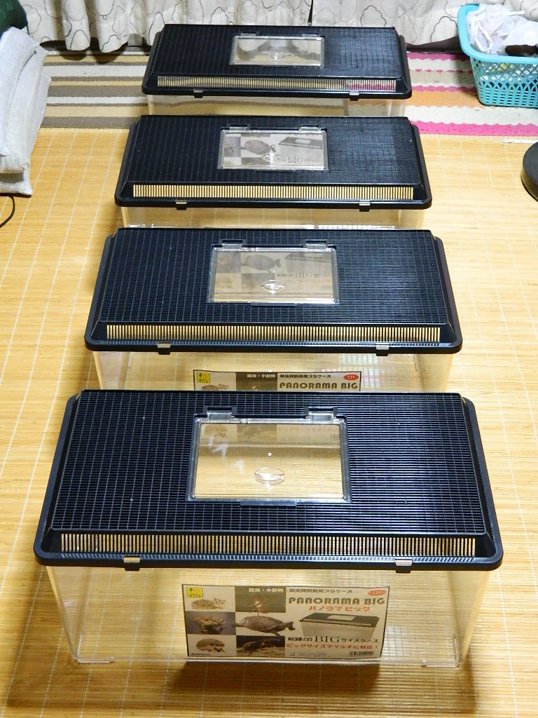 飼育ケース | 飼育容器 鈴木製作所 特大の通販 価格.com - 飼育ケース