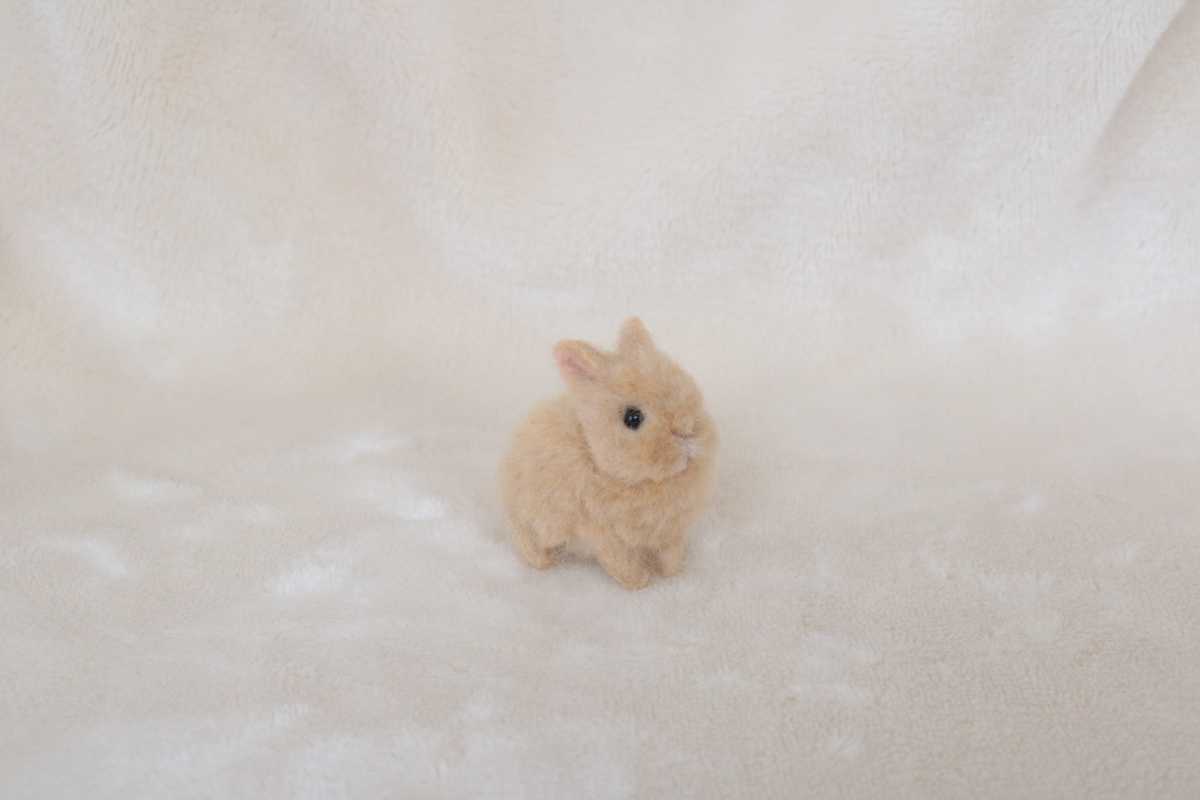 羊毛フェルト ミニチュア うさぎ ハンドメイド ネザーランドドワーフ ブライス_10