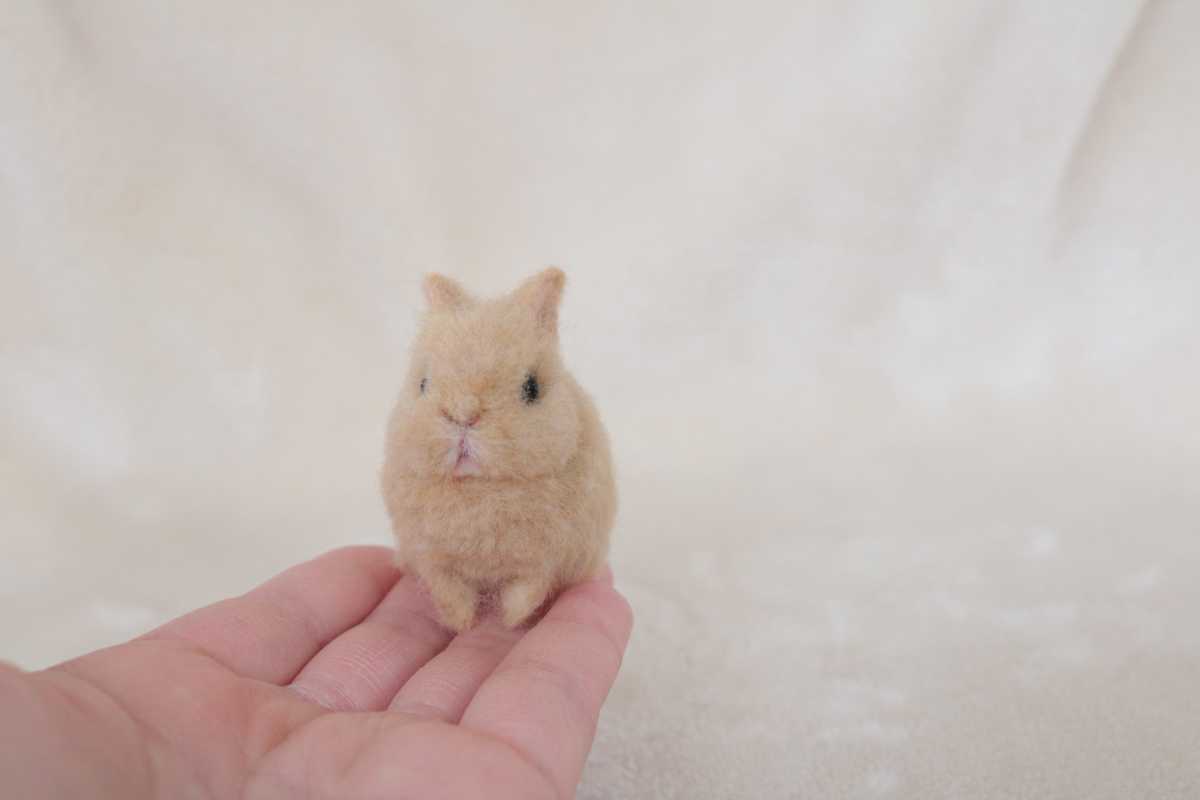 羊毛フェルト ミニチュア うさぎ ハンドメイド ネザーランドドワーフ ブライス_3