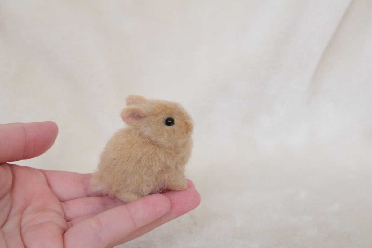 羊毛フェルト ミニチュア うさぎ ハンドメイド ネザーランドドワーフ ブライス_4