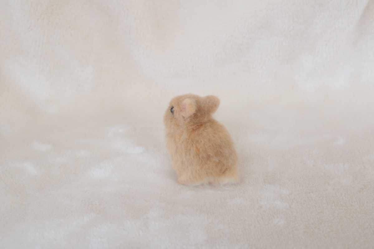 羊毛フェルト ミニチュア うさぎ ハンドメイド ネザーランドドワーフ ブライス_8