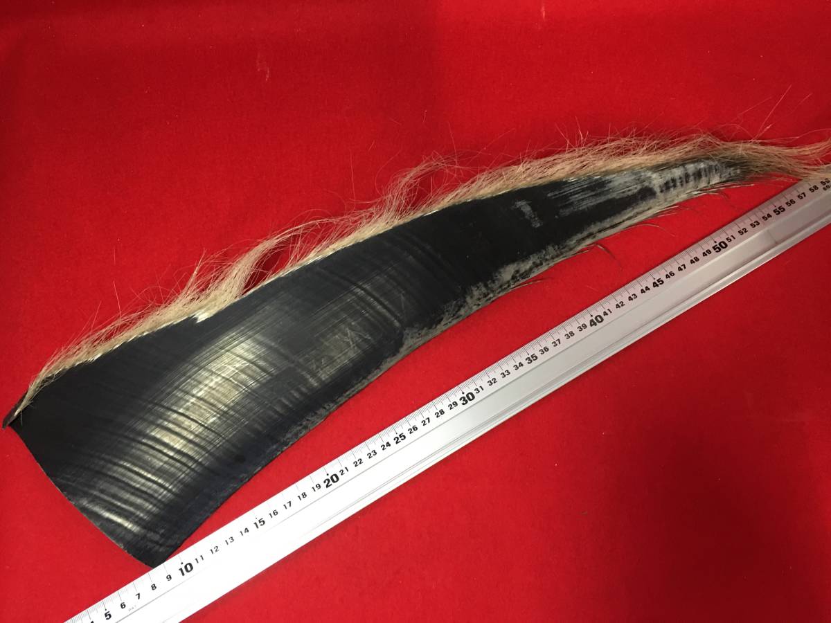 クジラのヒゲを原料とする工芸品編指定鯨類科学調査法人 Vol.1 | 鯨の