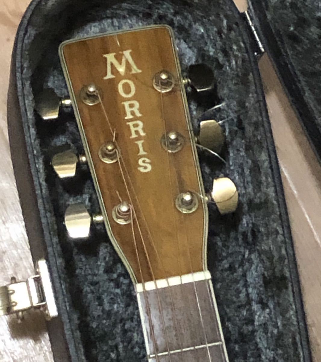 ヴィンテージMORRIS トップ単板 アコギ 縦モーリス MD-525