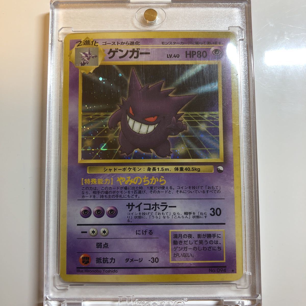 全日本送料無料 Webゲンガー 通信進化ゲンガー ポケモンカードゲーム 全日本送料無料 Webゲンガー 通信進化ゲンガー ポケモンカードゲーム