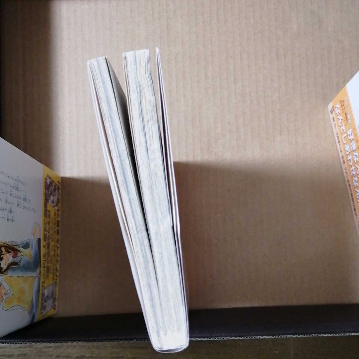 花君と恋する私 １ １０巻 熊岡冬夕 女性 売買されたオークション情報 Yahooの商品情報をアーカイブ公開 オークファン Aucfan Com