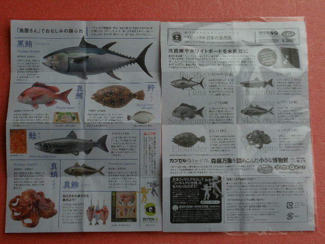 日本の食用魚 全６種 マグネット水族館 カプセルｑ ｋａｉｙｏｄｏ 生き物 売買されたオークション情報 Yahooの商品情報をアーカイブ公開 オークファン Aucfan Com