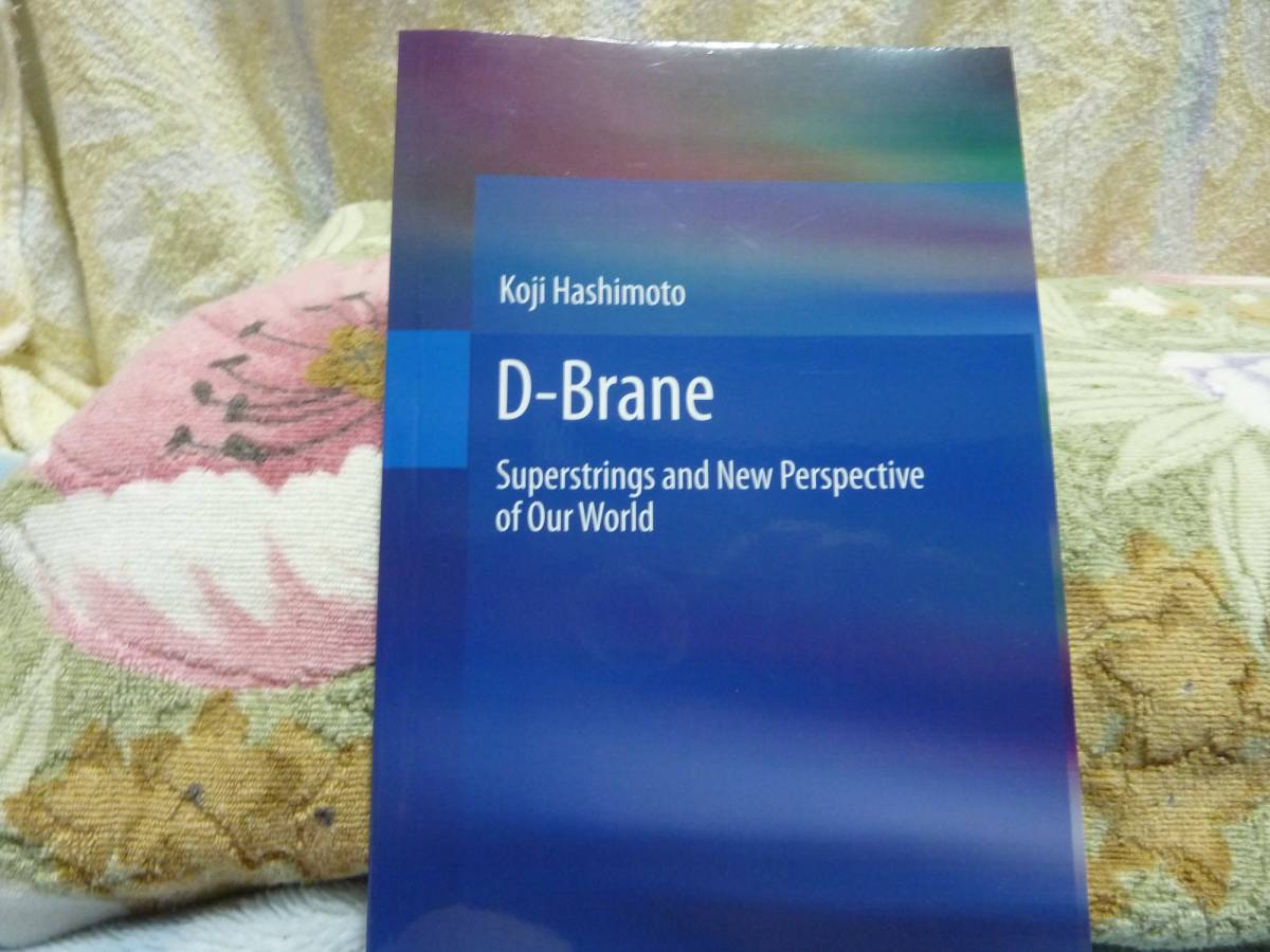 新作，お買い得 洋書 D-Brane Superstrings and New Perspective of Our World(物理学)｜売買されたオークション情報、yahooの商品情報をアーカイブ公開 - オークファン 物理学