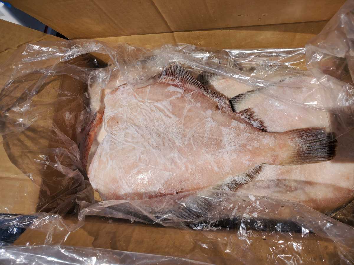 浅羽かれい４匹 ５キロ一箱 卵つき 美味しいかれい カレイ 売買されたオークション情報 Yahooの商品情報をアーカイブ公開 オークファン Aucfan Com