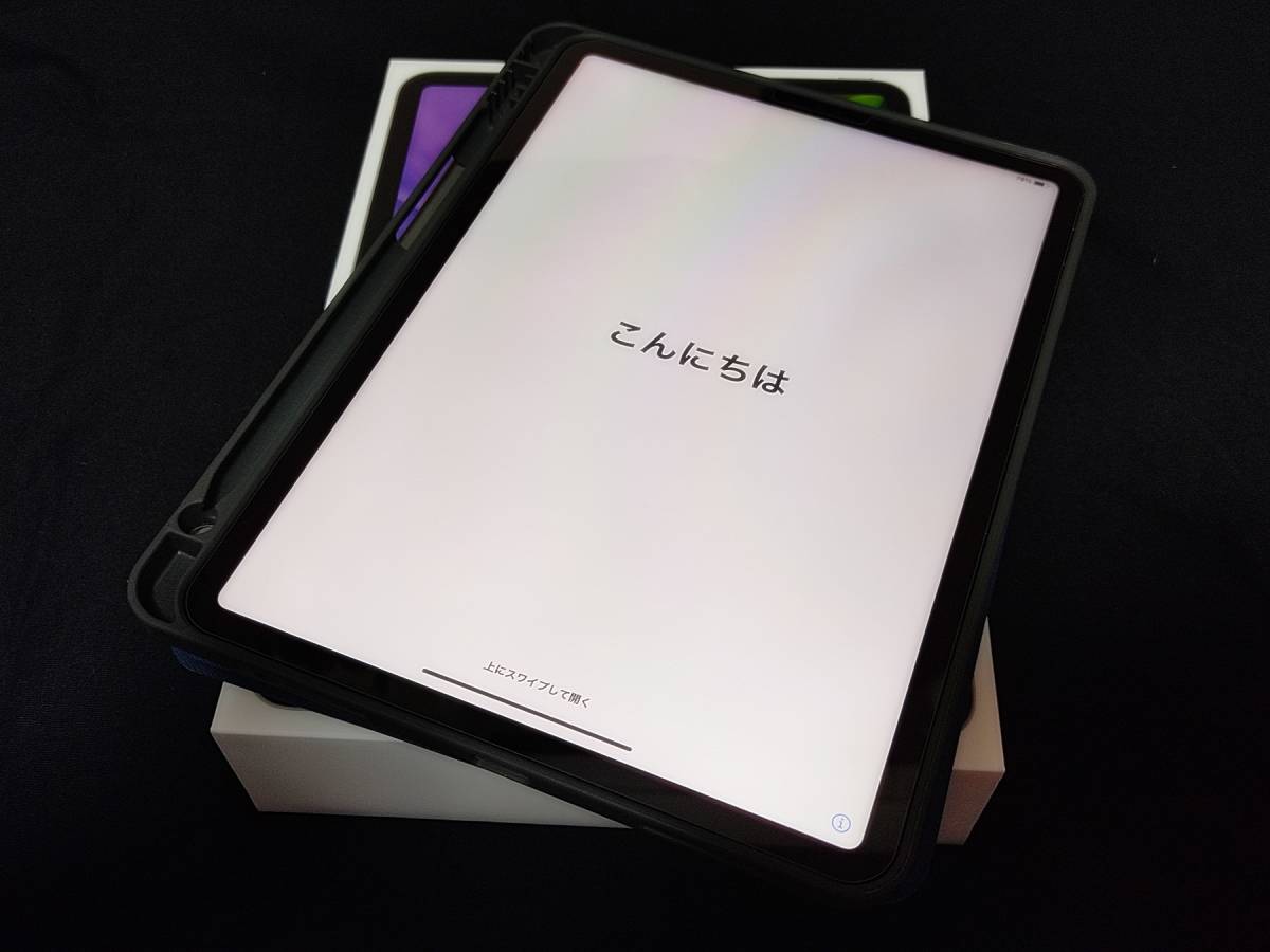 アップル iPad pro 11 ダイ二ゼネレーション ホンタイ Apple iPad pro