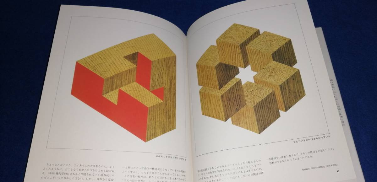 ○○　安野光雅の画集　2000年13刷　F004Ap_5