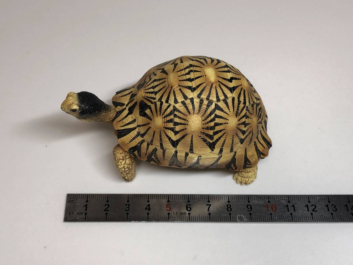 ホウシャガメ 白い フィギュア 大きさ 10cm 生き物 売買されたオークション情報 Yahooの商品情報をアーカイブ公開 オークファン Aucfan Com ホウシャガメ 白い フィギュア 大きさ 10cm 生き物 売買されたオークション情報 Yahooの商品情報をアーカイブ公開 オークファン Aucfan Com